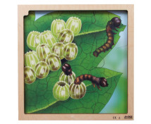 Réteges puzzle - A pillangó életciklusa