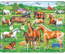 Puzzle – Ranch
