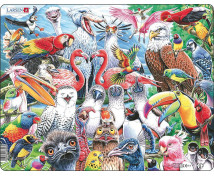 Puzzle – A vilag madarai