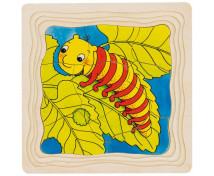 Réteges puzzle - Fejlődési stádiumok - Pillangó