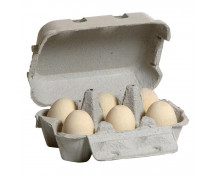 Tojás tojástartóban - fehér