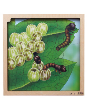 Réteges puzzle - A pillangó életciklusa