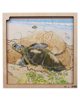 Réteges puzzle - A teknősbéka életciklusa
