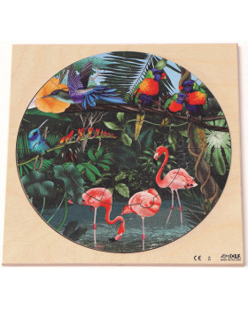 Puzzle - Vadon élő állatok - Az esőerdőben