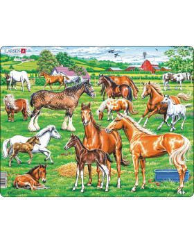 Puzzle – Ranch