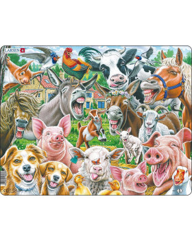 Puzzle – Vidam tanya