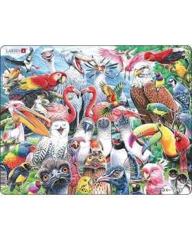 Puzzle – A vilag madarai