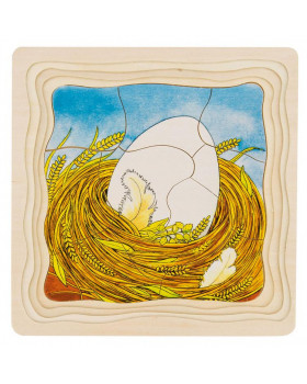 Réteges puzzle - Fejlődési stádiumok - Tyúk