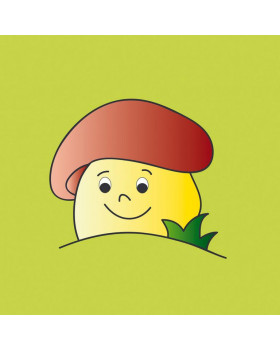 Párna varázsmintával - gomba