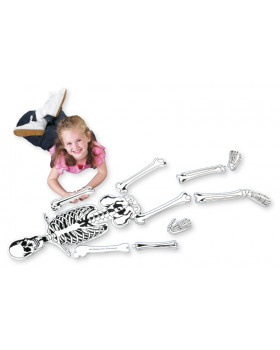 Emberi csontváz - puzzle